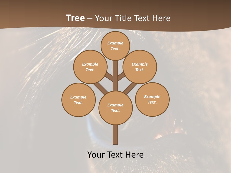 Horses Eye PowerPoint Template