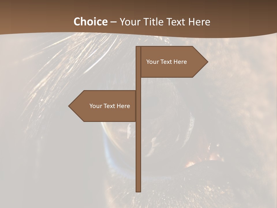 Horses Eye PowerPoint Template