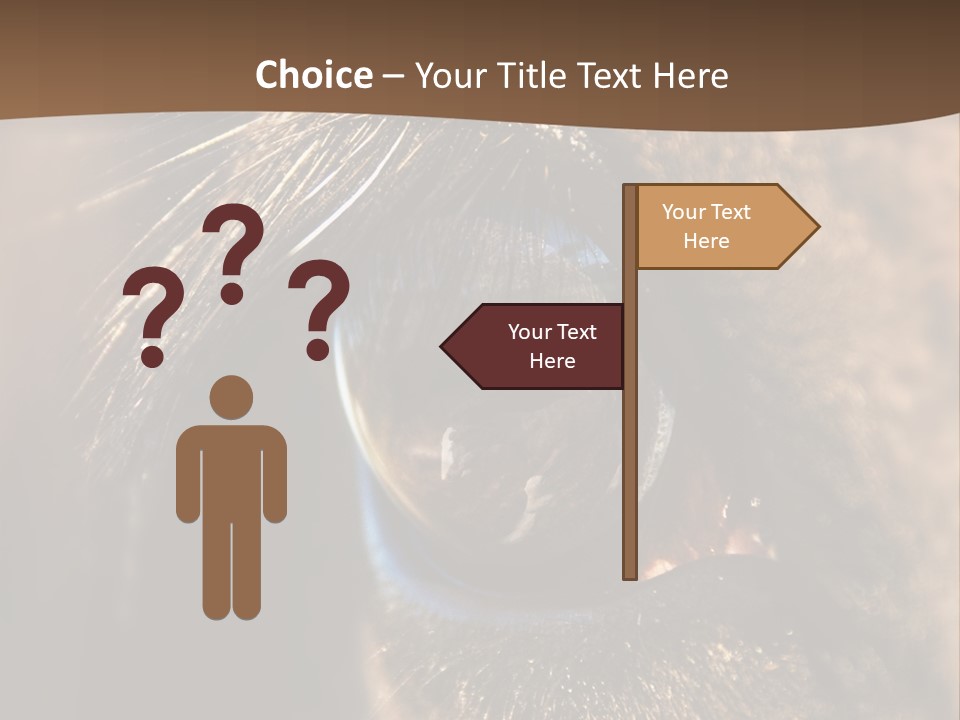 Horses Eye PowerPoint Template