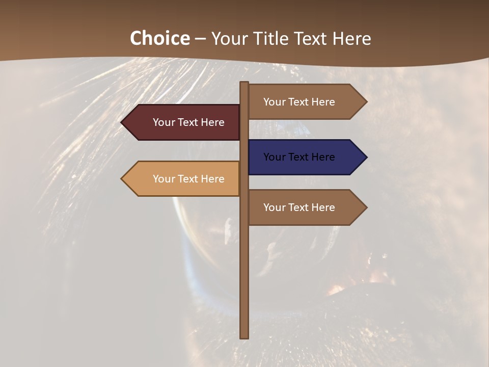 Horses Eye PowerPoint Template