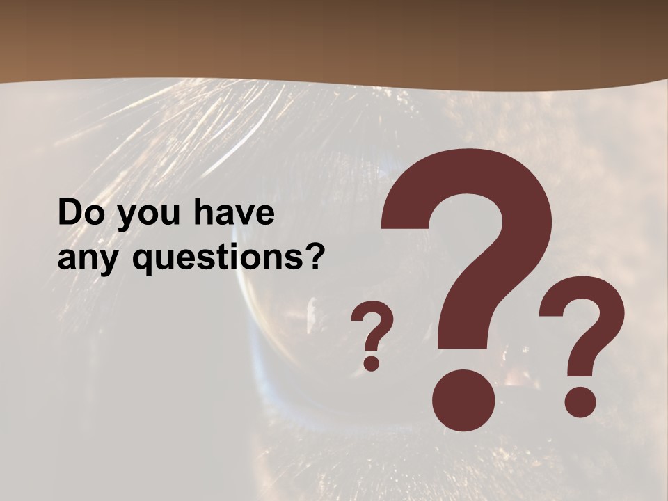 Horses Eye PowerPoint Template