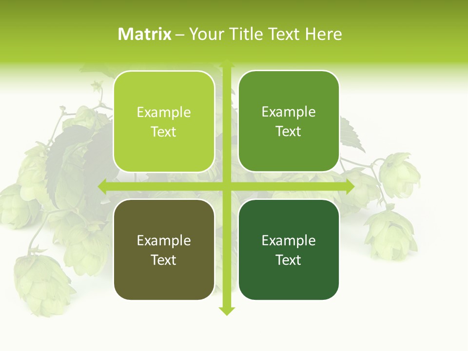 Hop PowerPoint Template