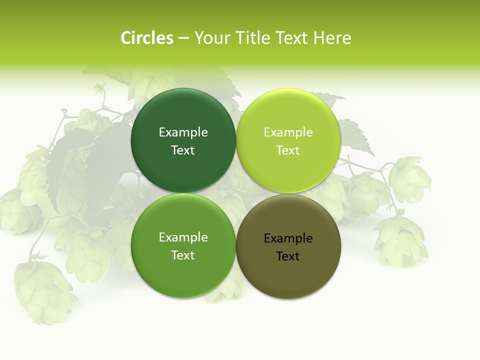 Hop PowerPoint Template
