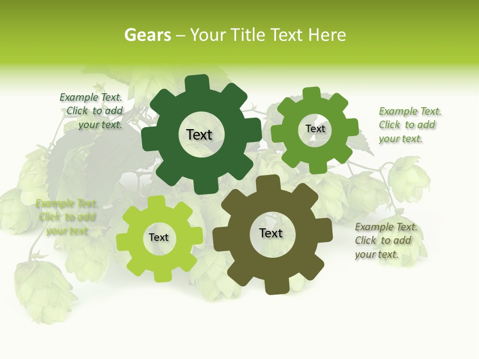 Hop PowerPoint Template