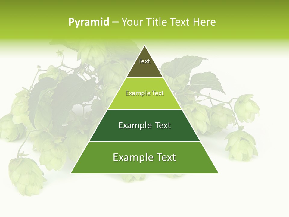 Hop PowerPoint Template