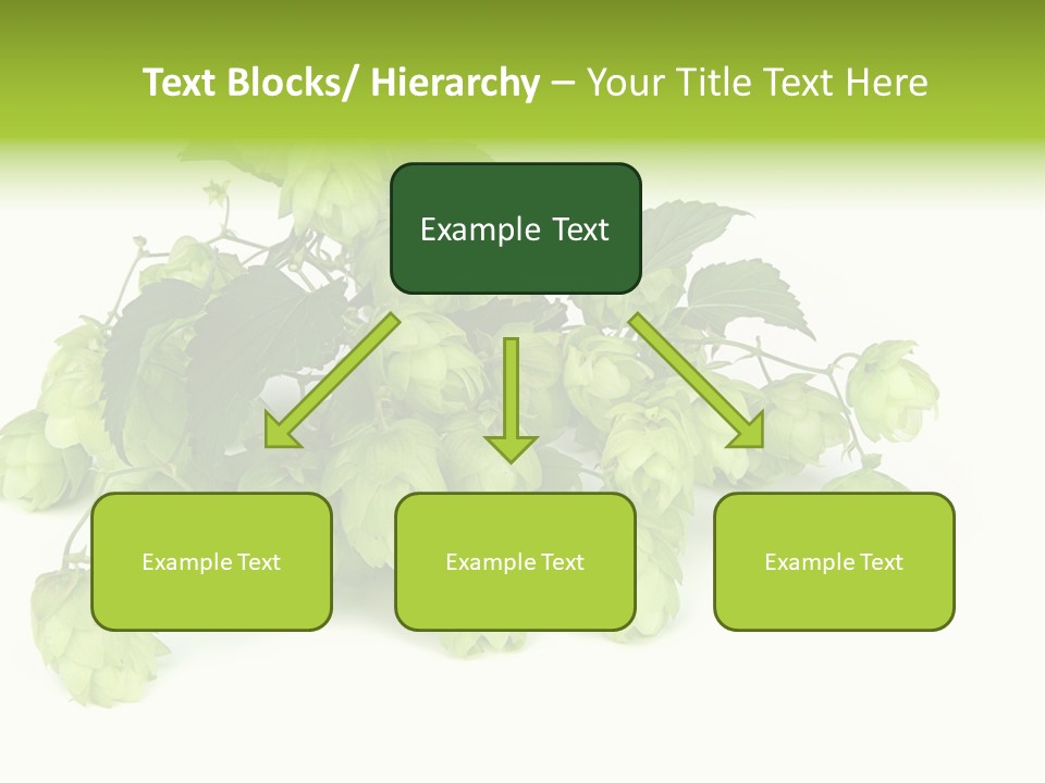 Hop PowerPoint Template