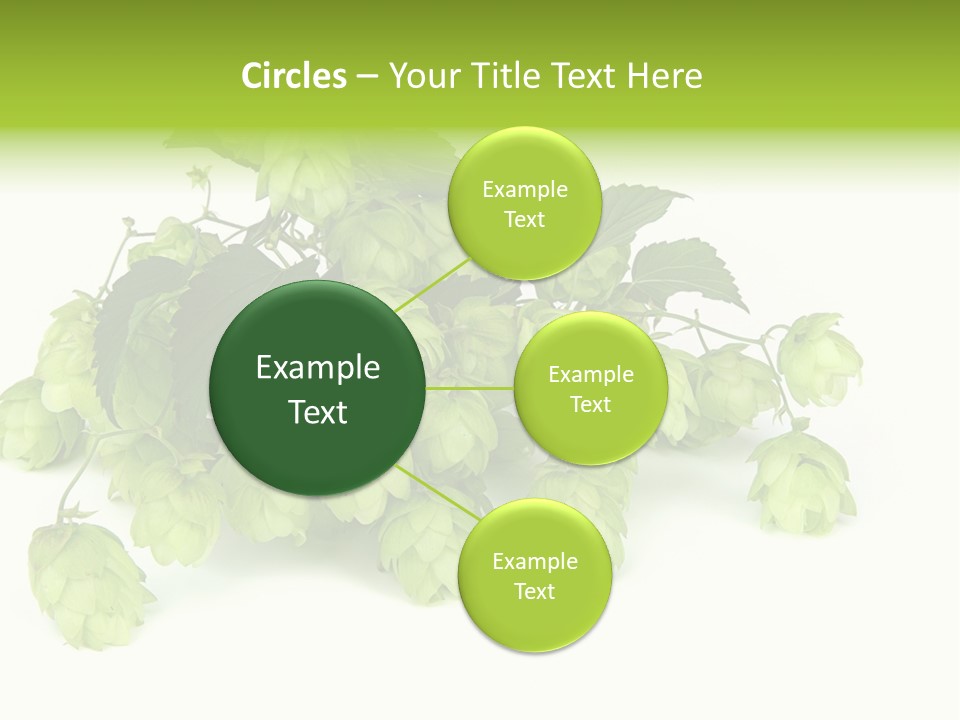 Hop PowerPoint Template