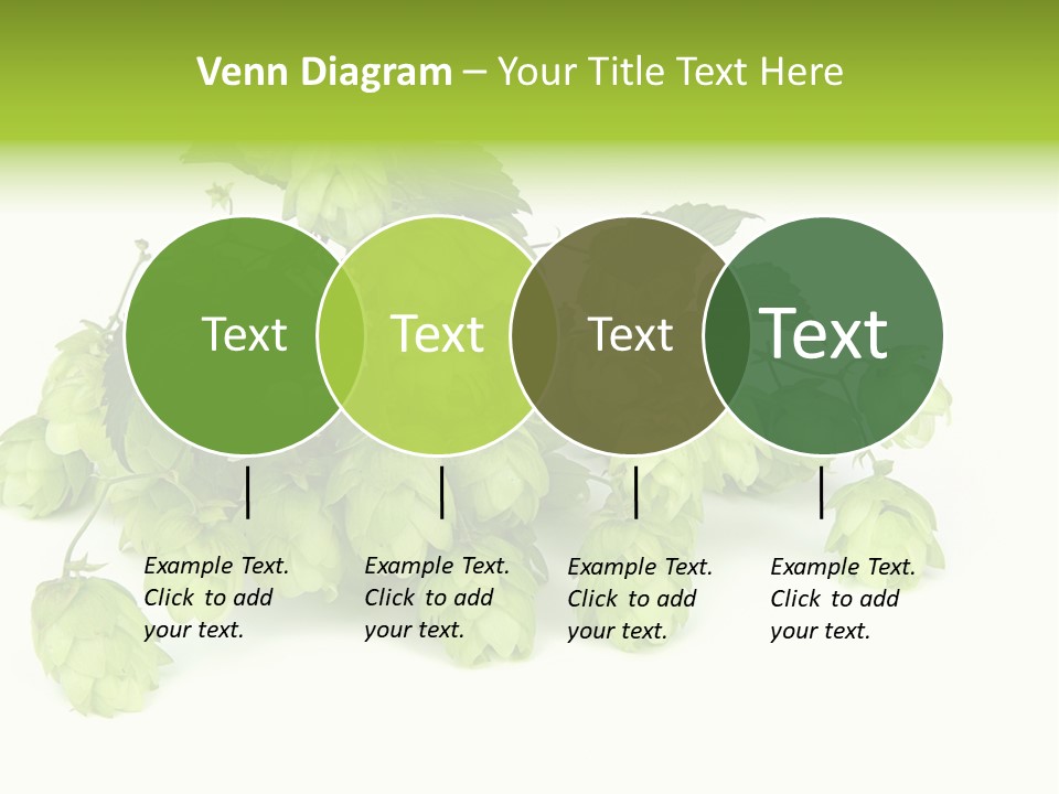 Hop PowerPoint Template