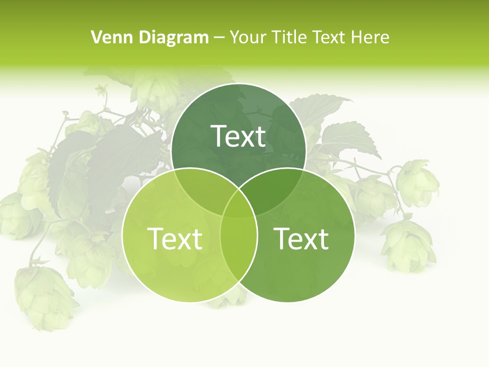 Hop PowerPoint Template