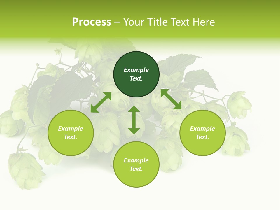 Hop PowerPoint Template