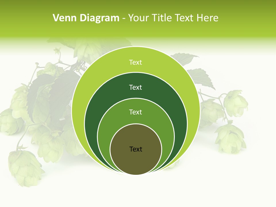 Hop PowerPoint Template