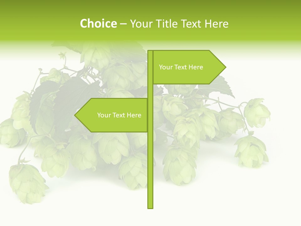 Hop PowerPoint Template