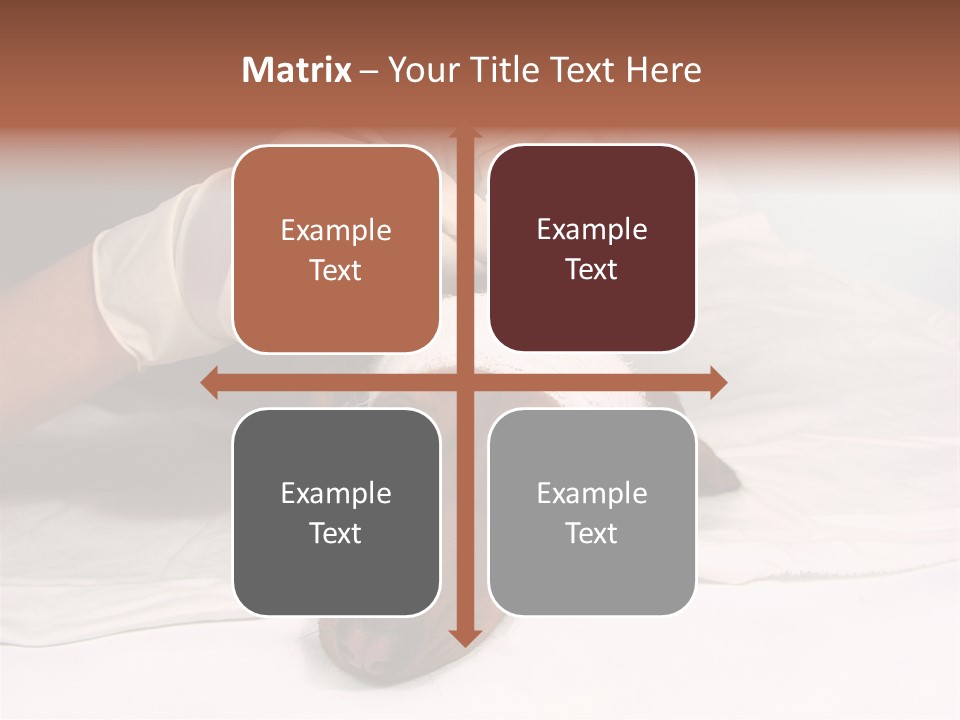 The Sick Dog In Bandage PowerPoint Template