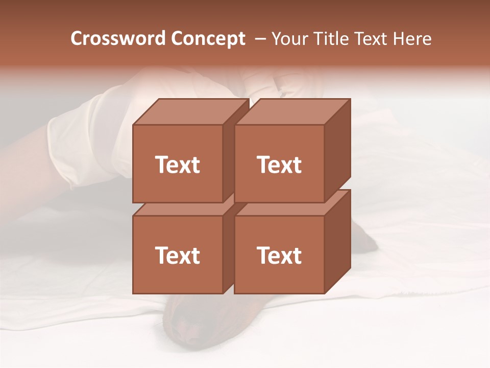 The Sick Dog In Bandage PowerPoint Template