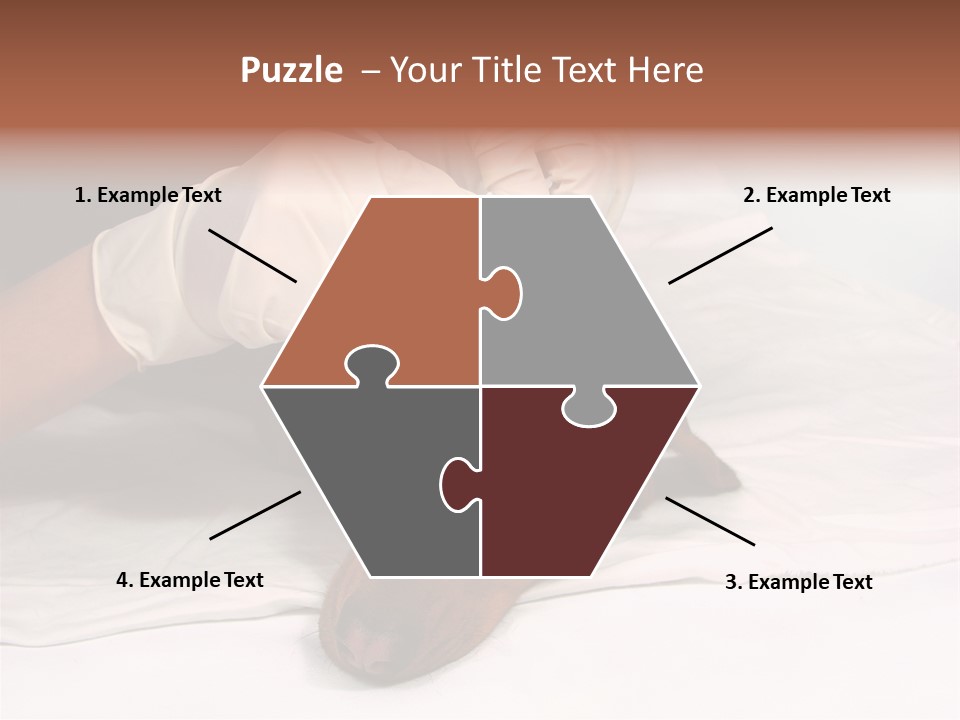 The Sick Dog In Bandage PowerPoint Template