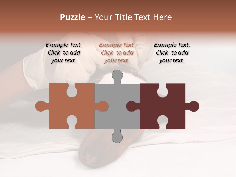 The Sick Dog In Bandage PowerPoint Template