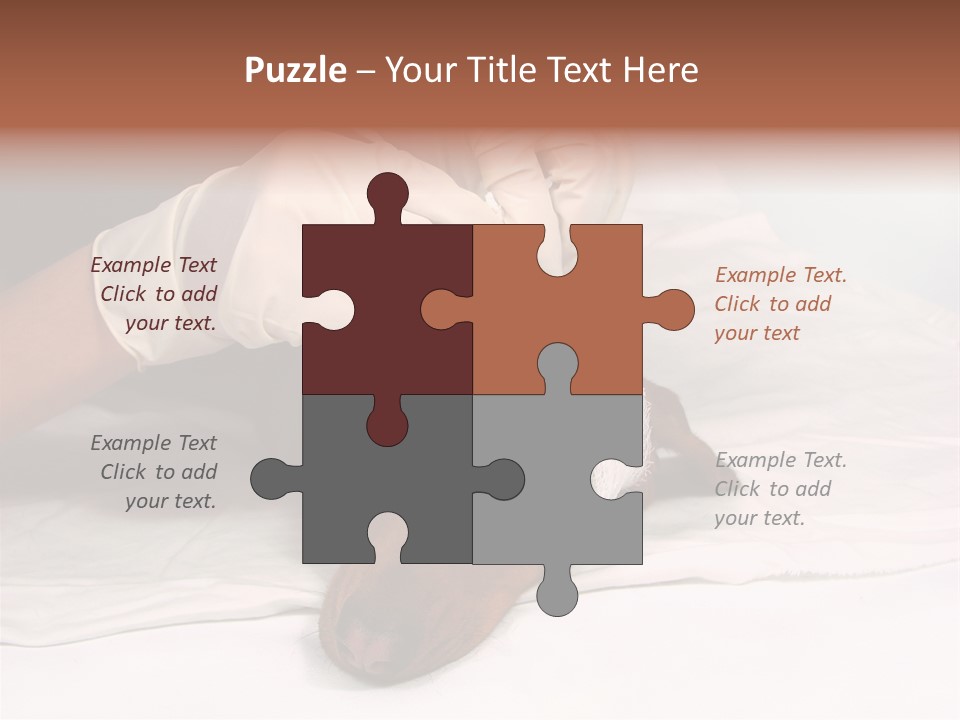 The Sick Dog In Bandage PowerPoint Template