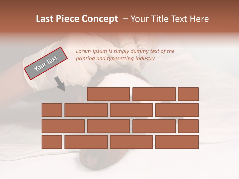 The Sick Dog In Bandage PowerPoint Template