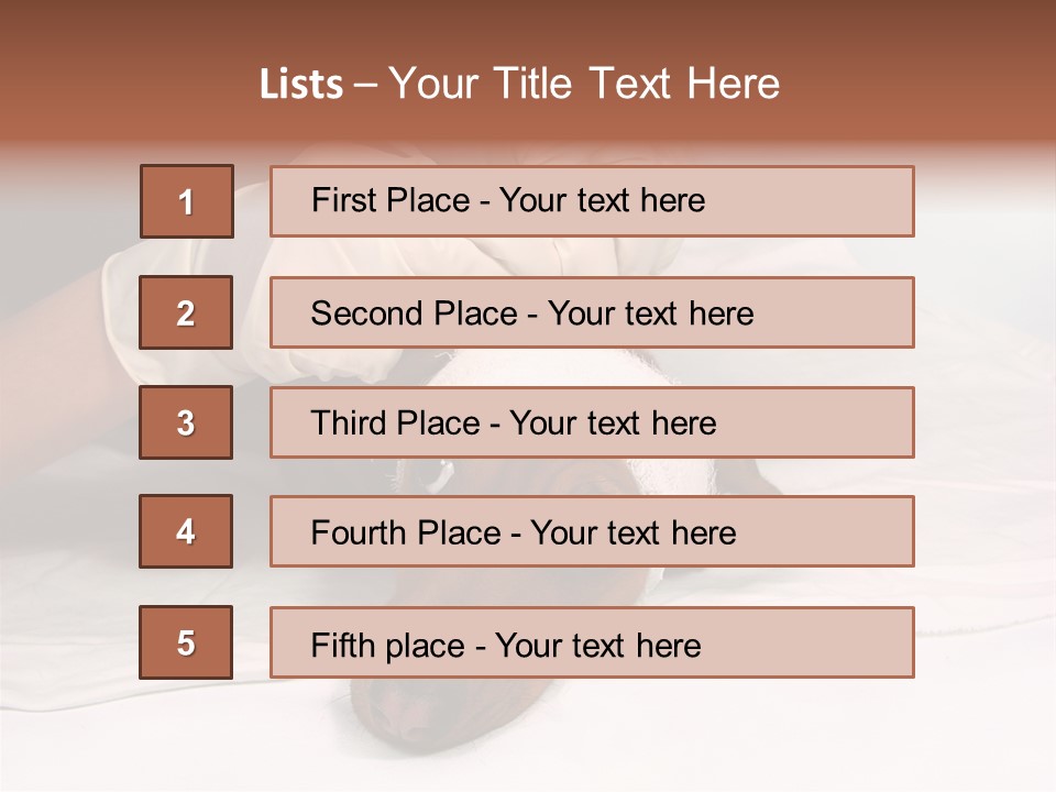 The Sick Dog In Bandage PowerPoint Template