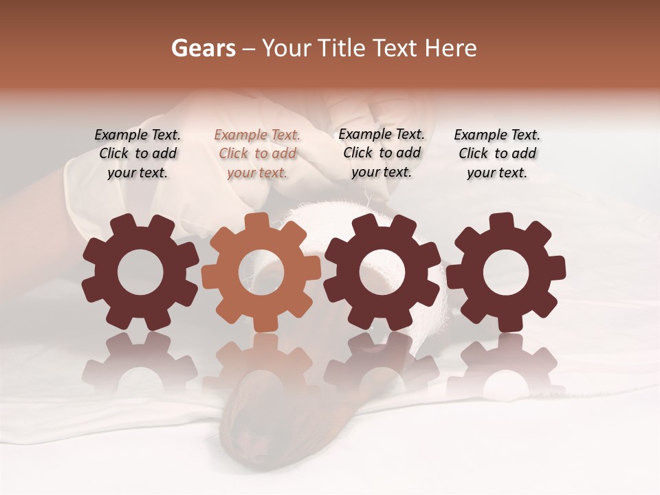 The Sick Dog In Bandage PowerPoint Template