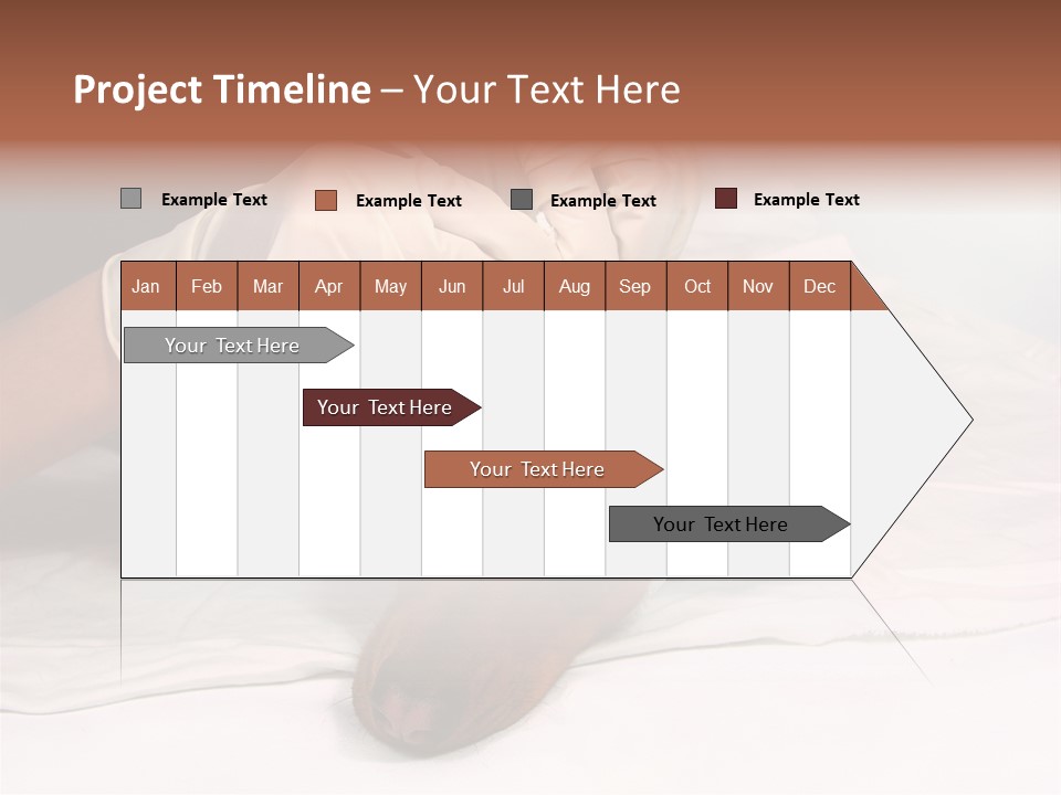 The Sick Dog In Bandage PowerPoint Template