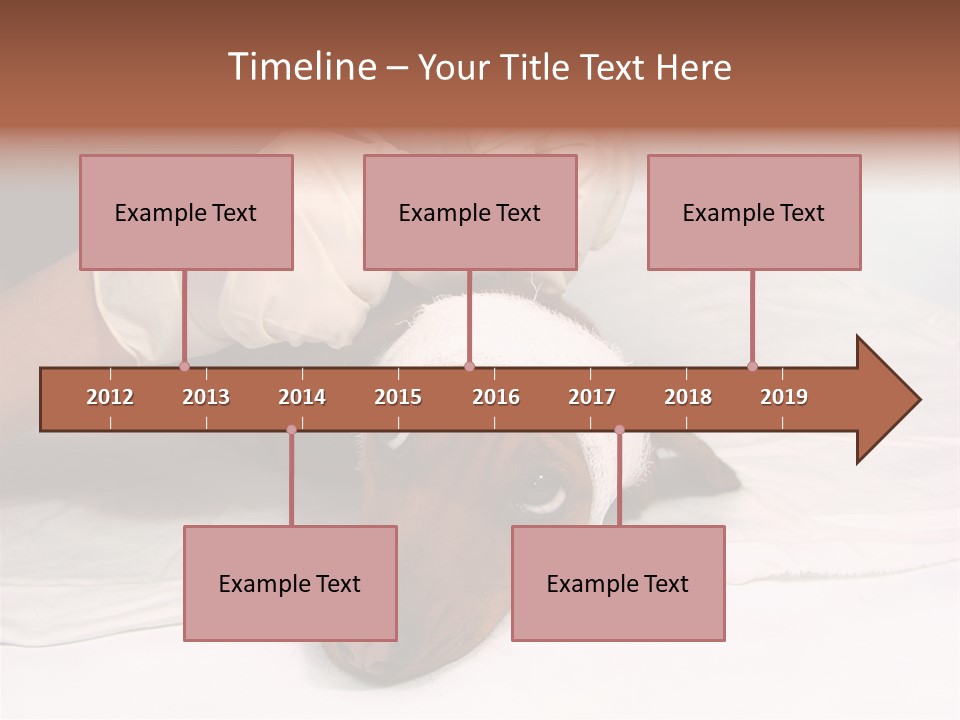 The Sick Dog In Bandage PowerPoint Template