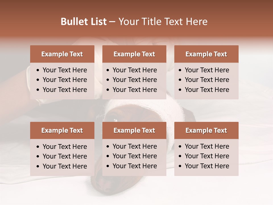 The Sick Dog In Bandage PowerPoint Template