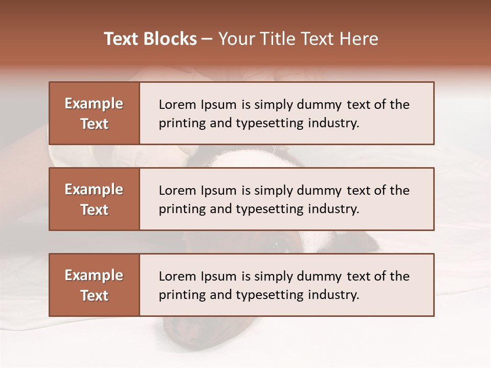 The Sick Dog In Bandage PowerPoint Template