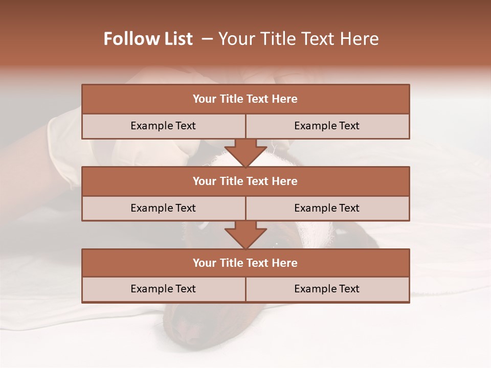 The Sick Dog In Bandage PowerPoint Template