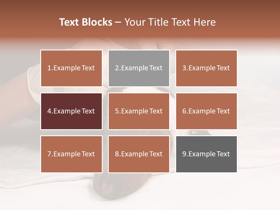 The Sick Dog In Bandage PowerPoint Template