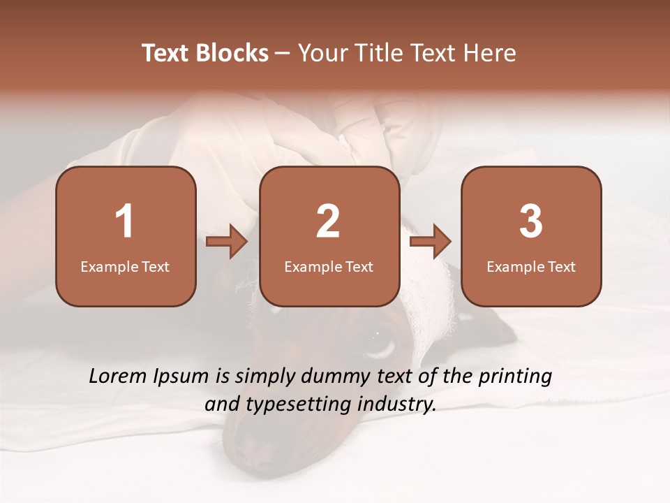 The Sick Dog In Bandage PowerPoint Template