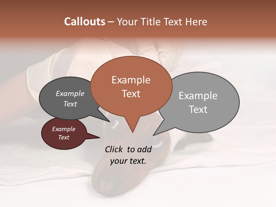 The Sick Dog In Bandage PowerPoint Template