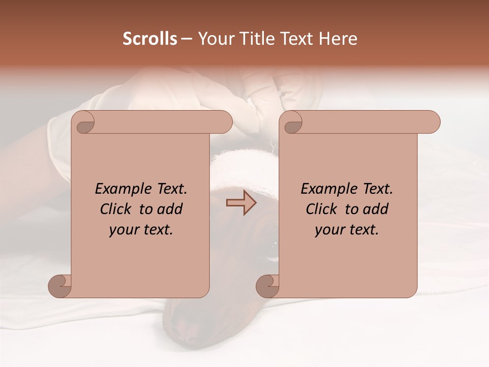 The Sick Dog In Bandage PowerPoint Template