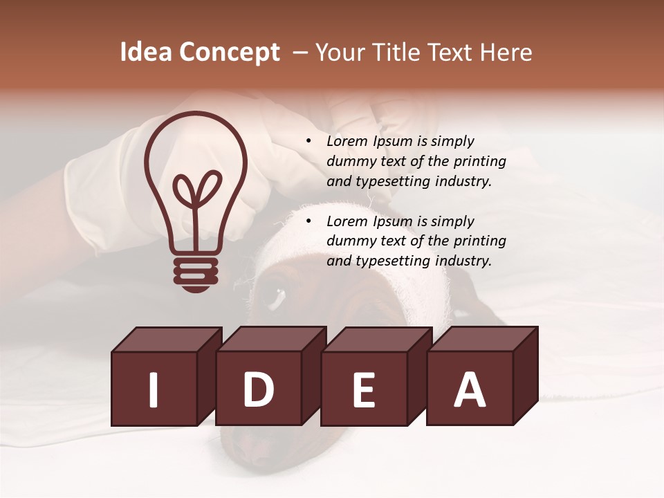 The Sick Dog In Bandage PowerPoint Template