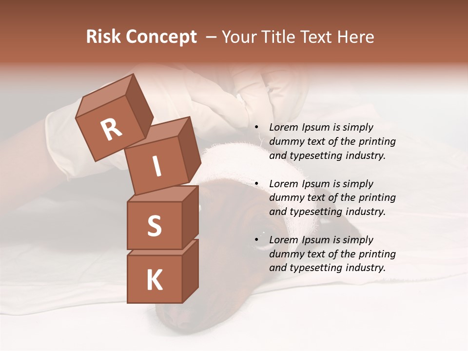 The Sick Dog In Bandage PowerPoint Template