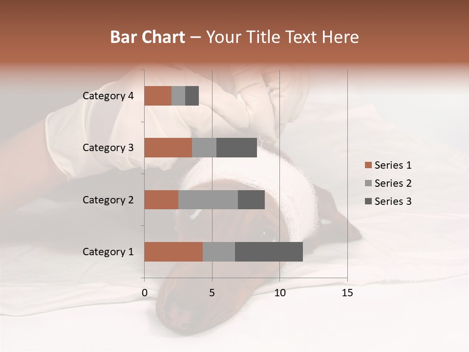 The Sick Dog In Bandage PowerPoint Template