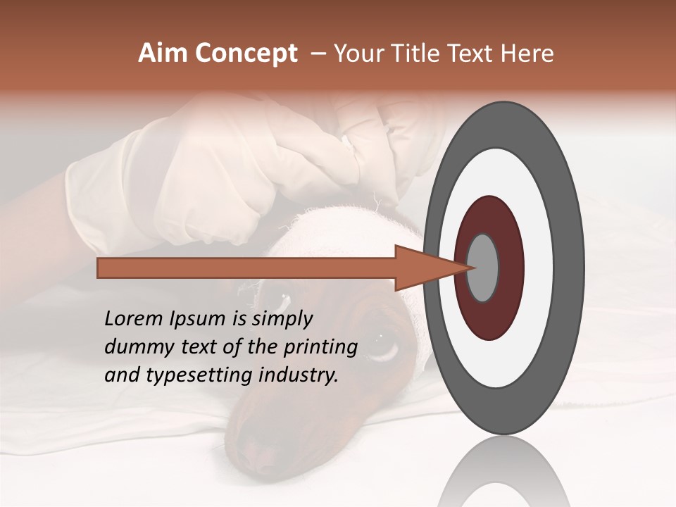 The Sick Dog In Bandage PowerPoint Template