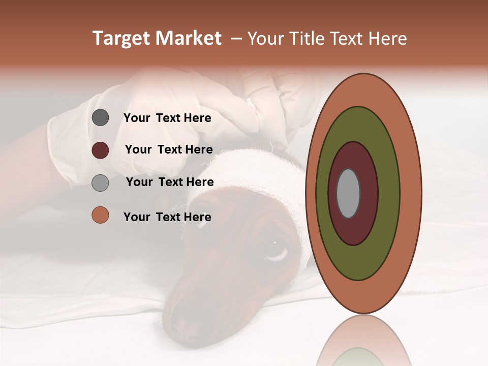 The Sick Dog In Bandage PowerPoint Template