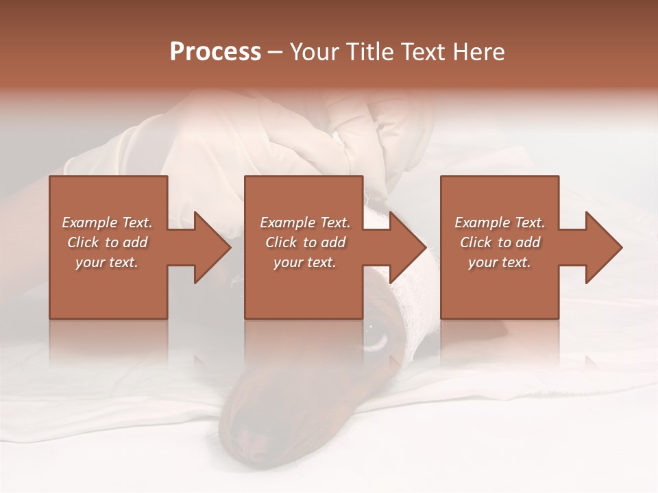 The Sick Dog In Bandage PowerPoint Template