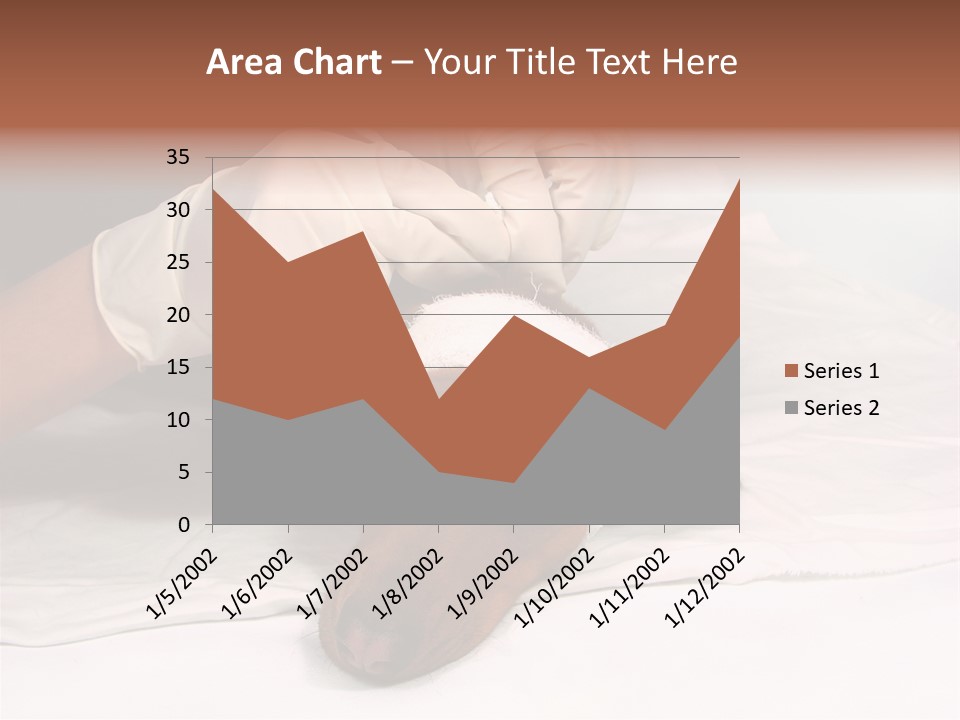 The Sick Dog In Bandage PowerPoint Template