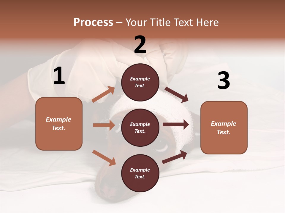 The Sick Dog In Bandage PowerPoint Template