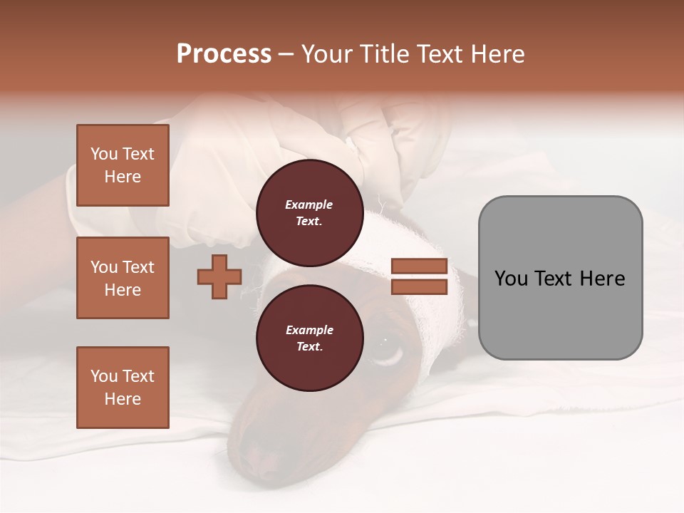 The Sick Dog In Bandage PowerPoint Template