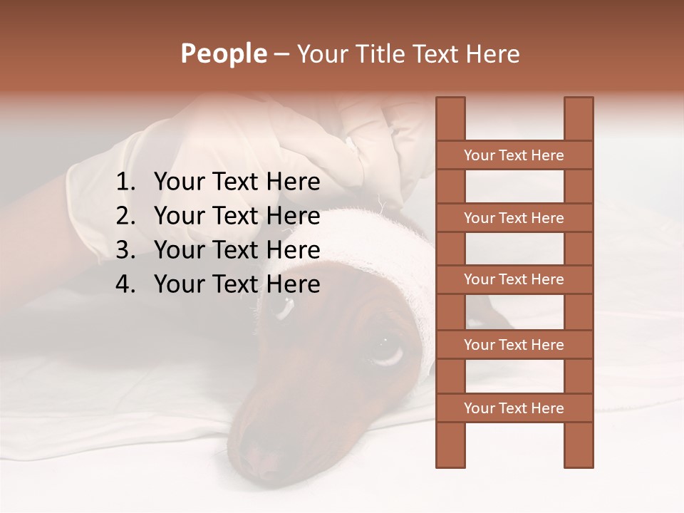 The Sick Dog In Bandage PowerPoint Template