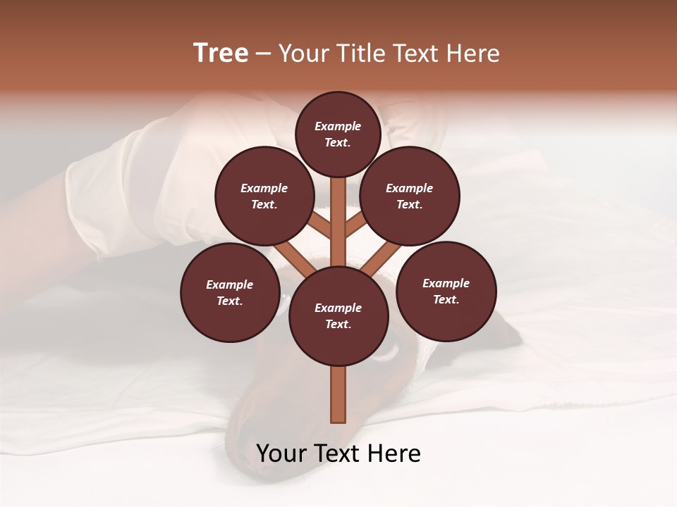 The Sick Dog In Bandage PowerPoint Template