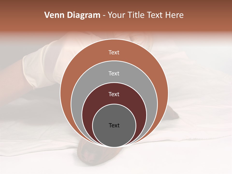 The Sick Dog In Bandage PowerPoint Template