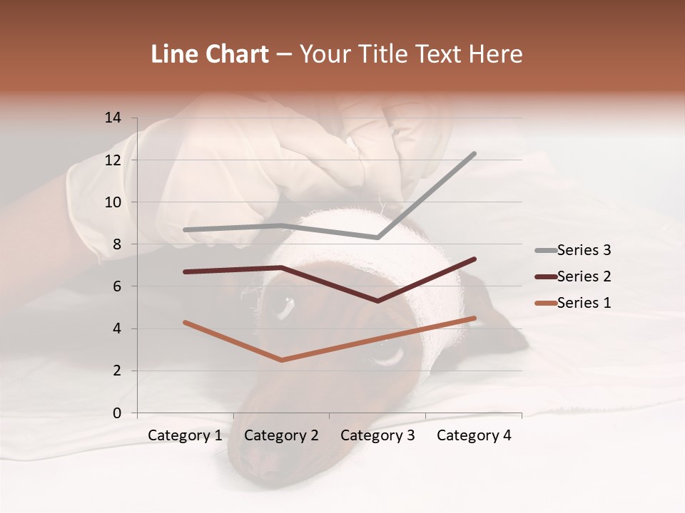 The Sick Dog In Bandage PowerPoint Template