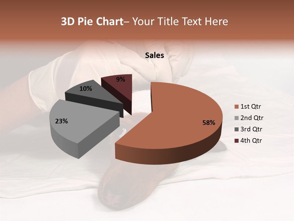 The Sick Dog In Bandage PowerPoint Template