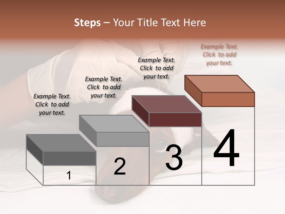 The Sick Dog In Bandage PowerPoint Template