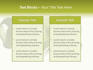 Cutted Lime And Its Rind Cutout In Spiral Form PowerPoint Template