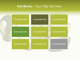 Cutted Lime And Its Rind Cutout In Spiral Form PowerPoint Template